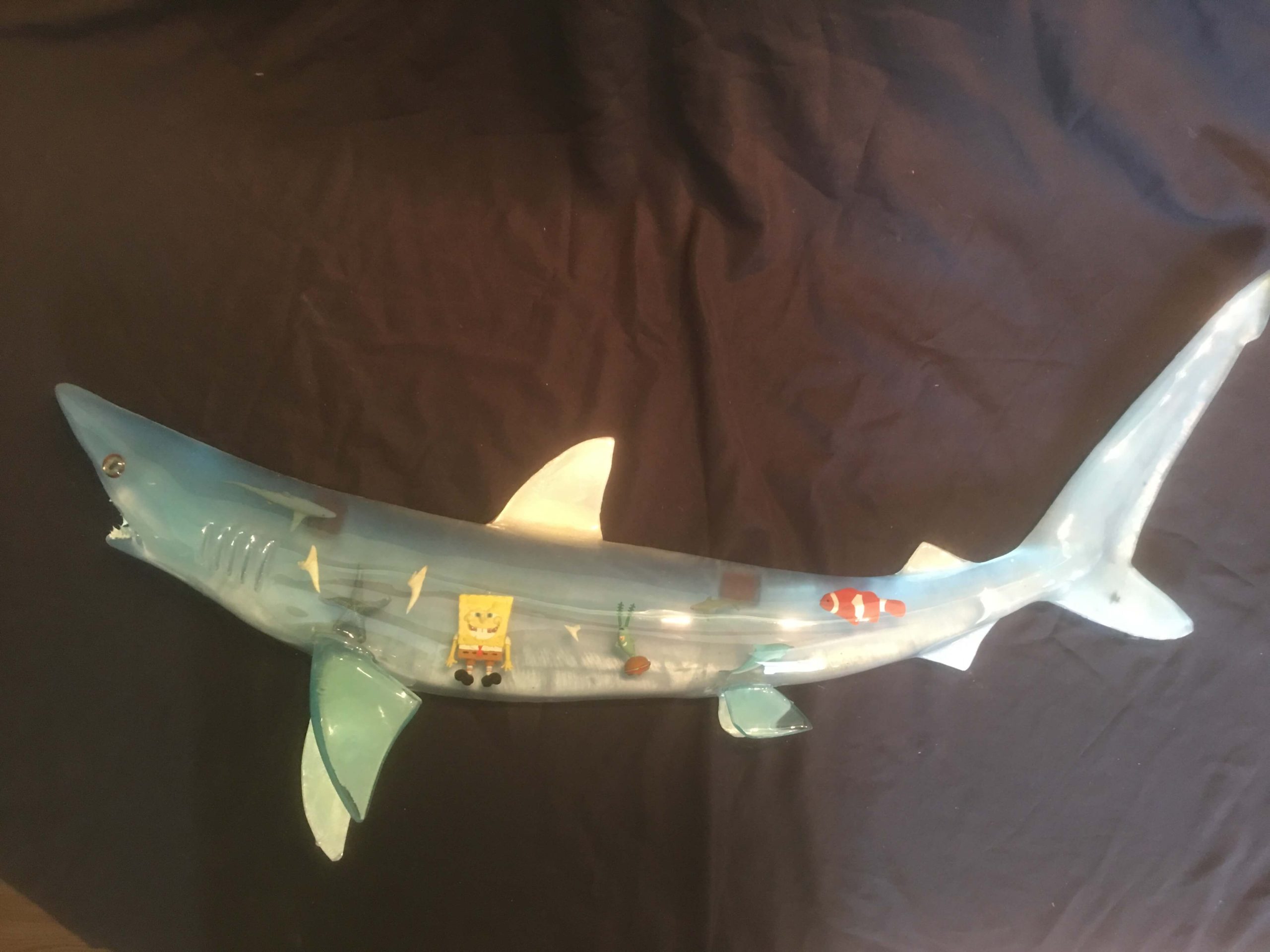 LED Light Up Taxidermy Shark Sculpture