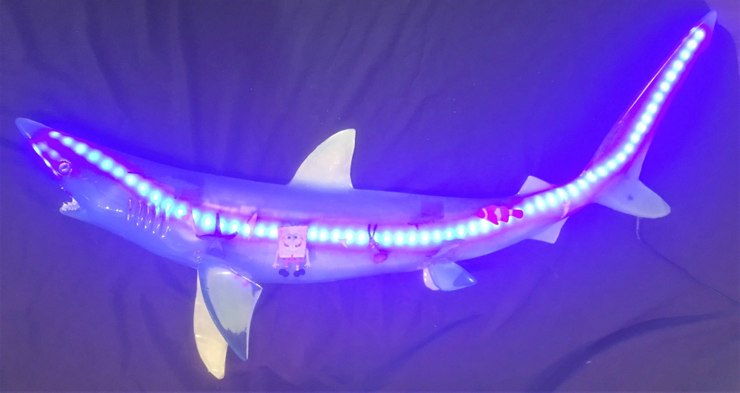 LED Light Up Taxidermy Shark Sculpture