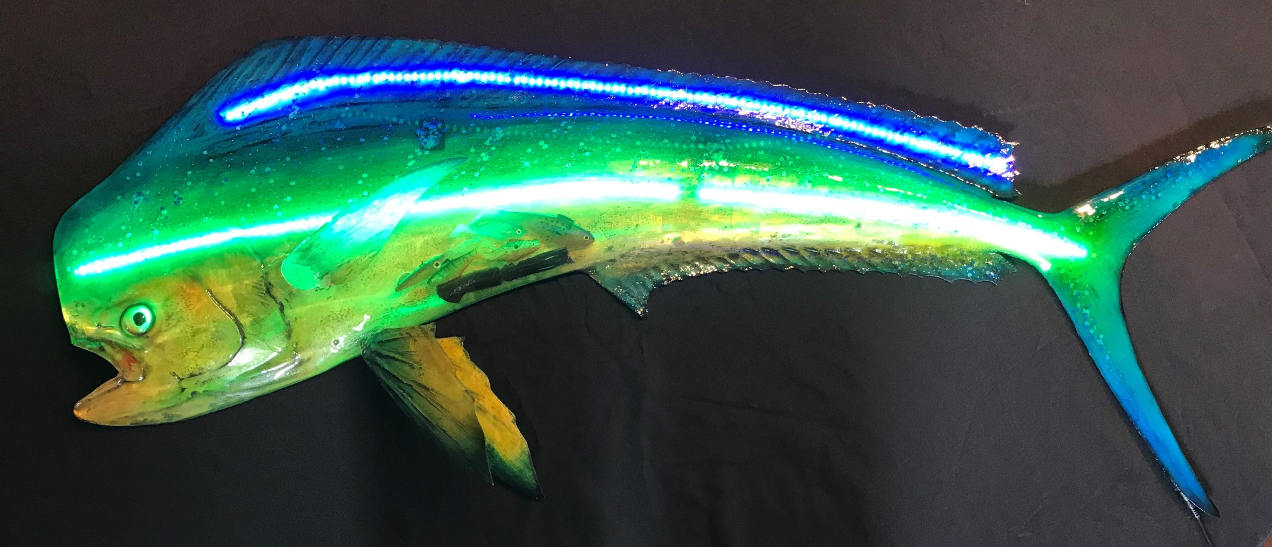 LED Light Up Multimedia Mahi Mahi/Dorado/Dolphin Fish Sculpture