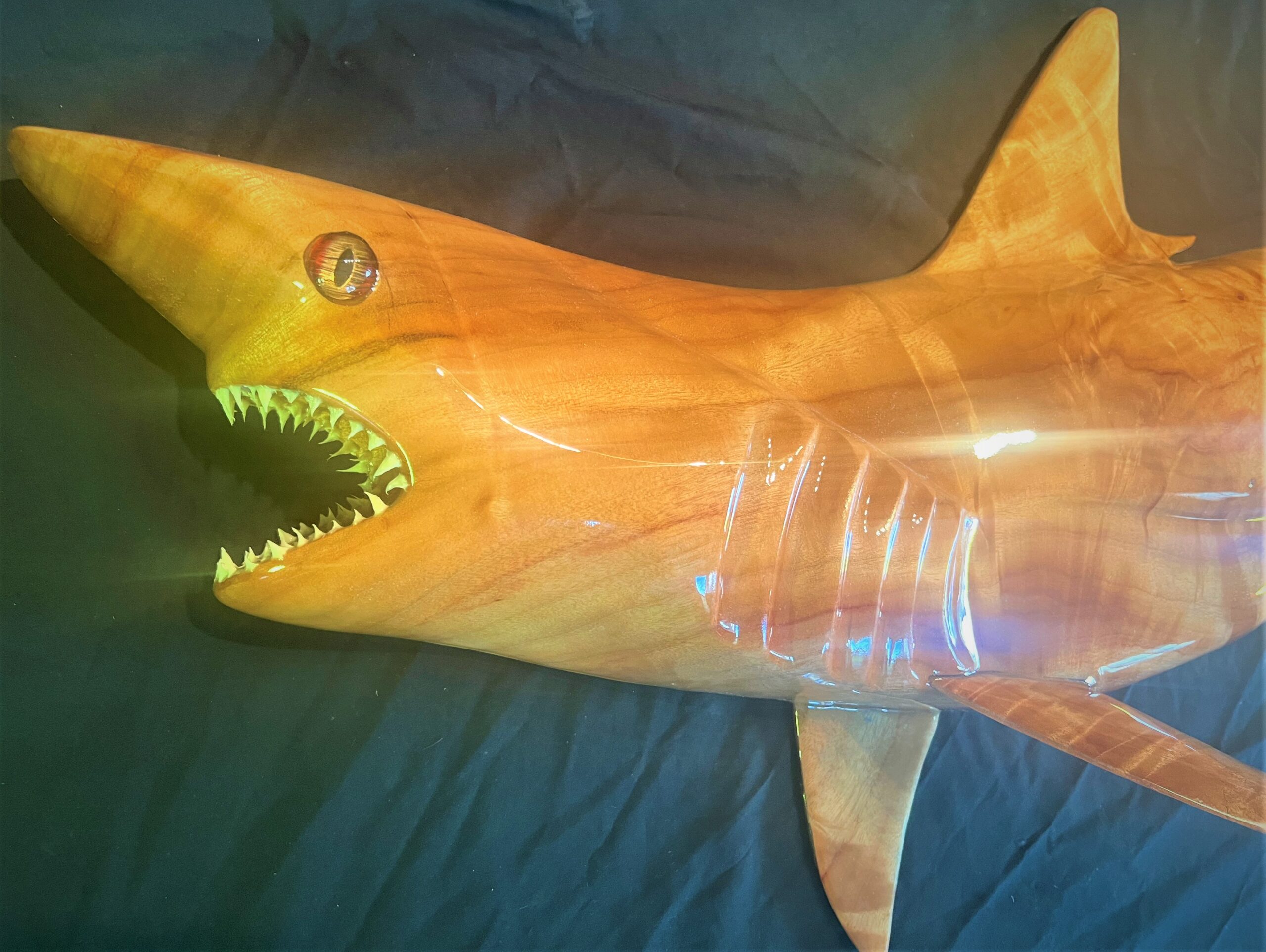 Life Like and Life Size Mako Shark Camphor Wood Wall Sculpture/Carving