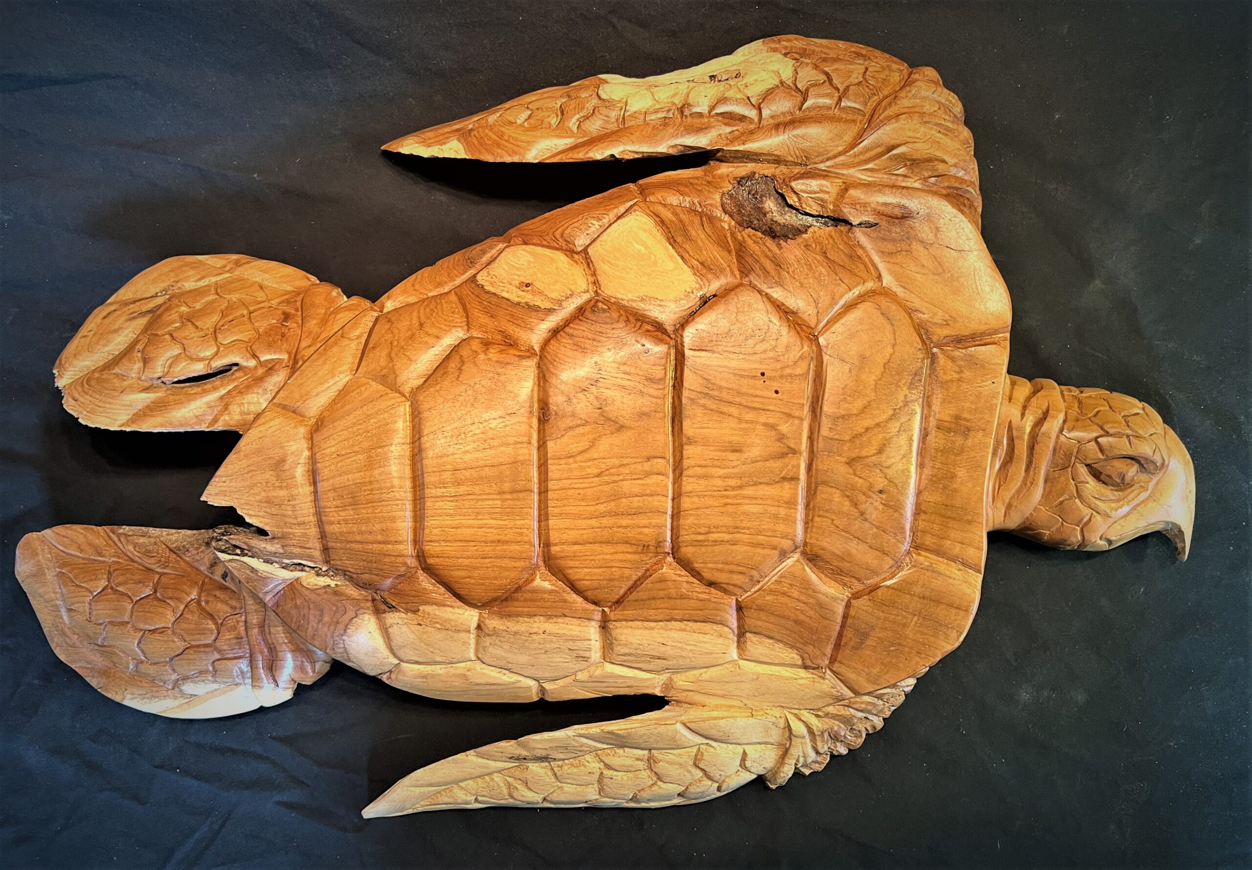 Teak Wood Hand Carved Logger Head Sea Turtle Wall Sculpture/Carvung