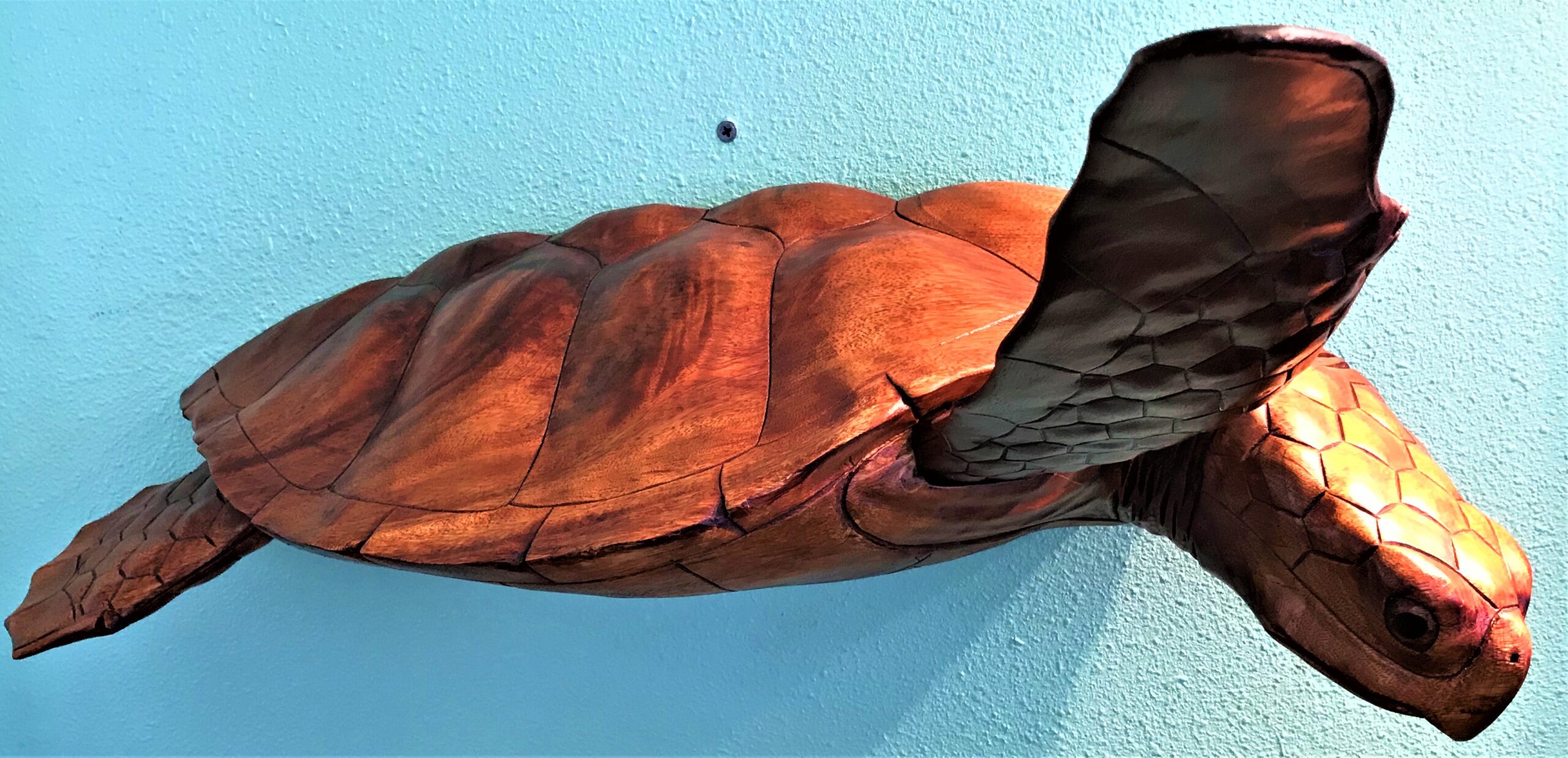 Large Logger Head Sea Turtles Wood Carving/Sculpture Wall ART  Single or Pair